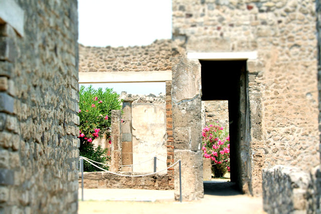 Pompei-scavi www.travelnelmondo.blogspot.it abitazione, scavi di Pompei, monumenti, casa di Trittolemo