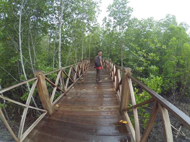 Dihari libur saya sempat berkeliling di  Keliling Hutan Mangrove Langsa