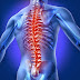 ¿Cómo podemos evitar el dolor de espalda?