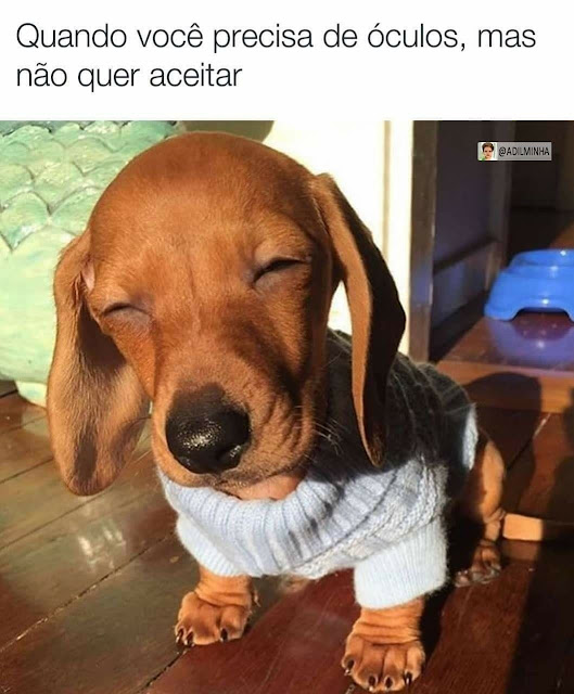 memes para alegrar a sua semana memes para alegrar a sua semana