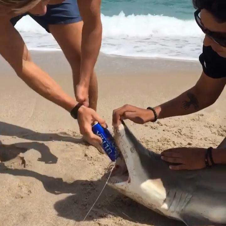 FOTO: Captura de video