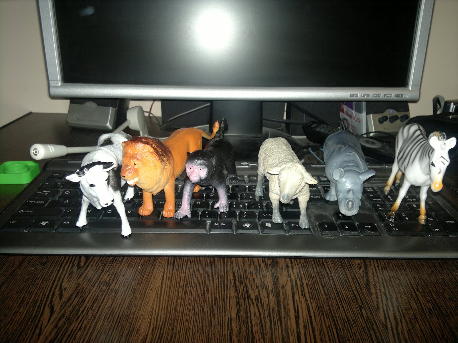 N8PictureADay 26 The keyboard zooGadget Technology News