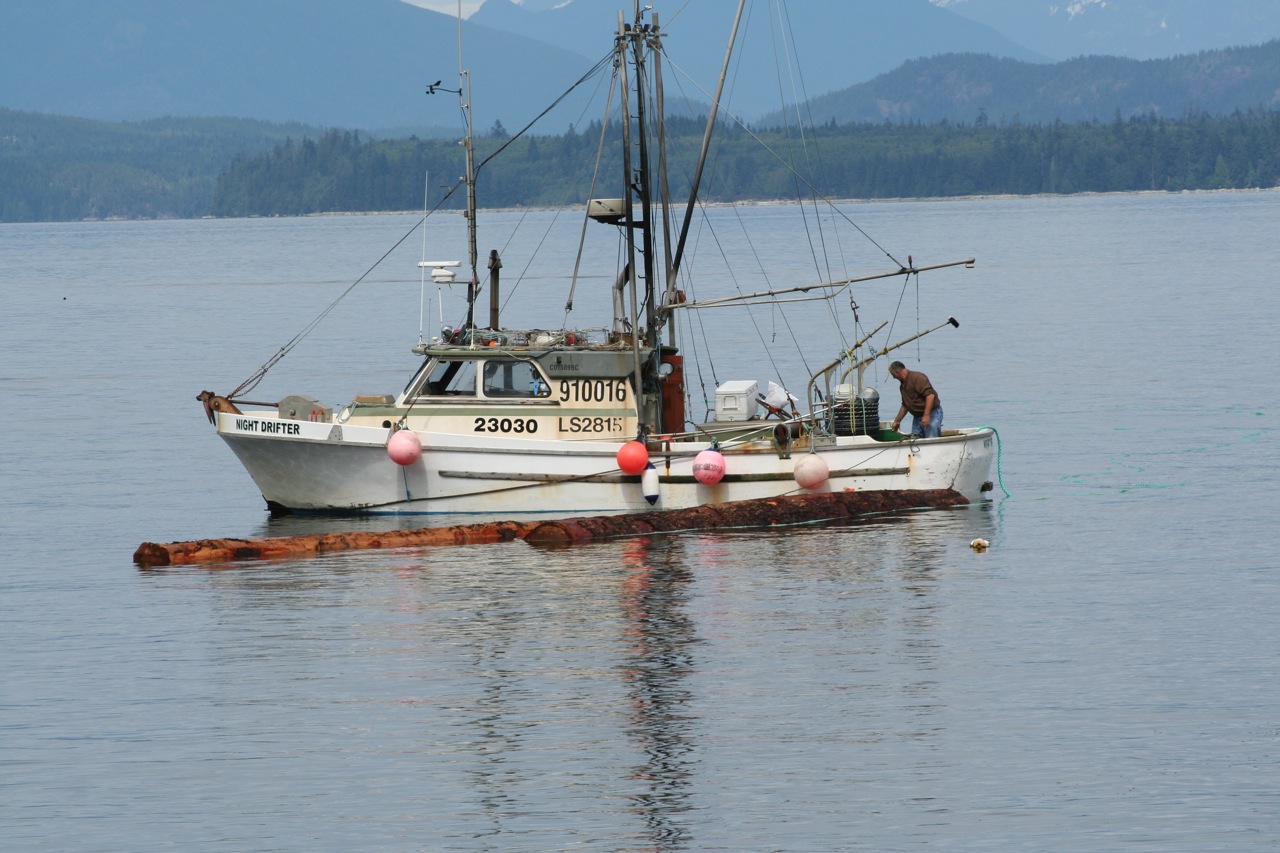 Donivee's Drift Log Salvage