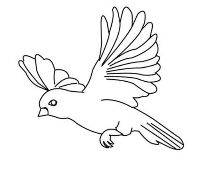 Gambar Belajar Mewarnai Burung Lucu Anak Rebanas Hummingbird Template Printable