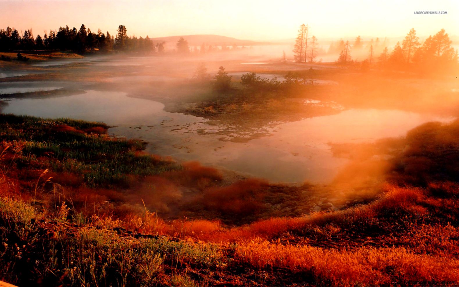 Yellowstone National Park 1920 X 1080