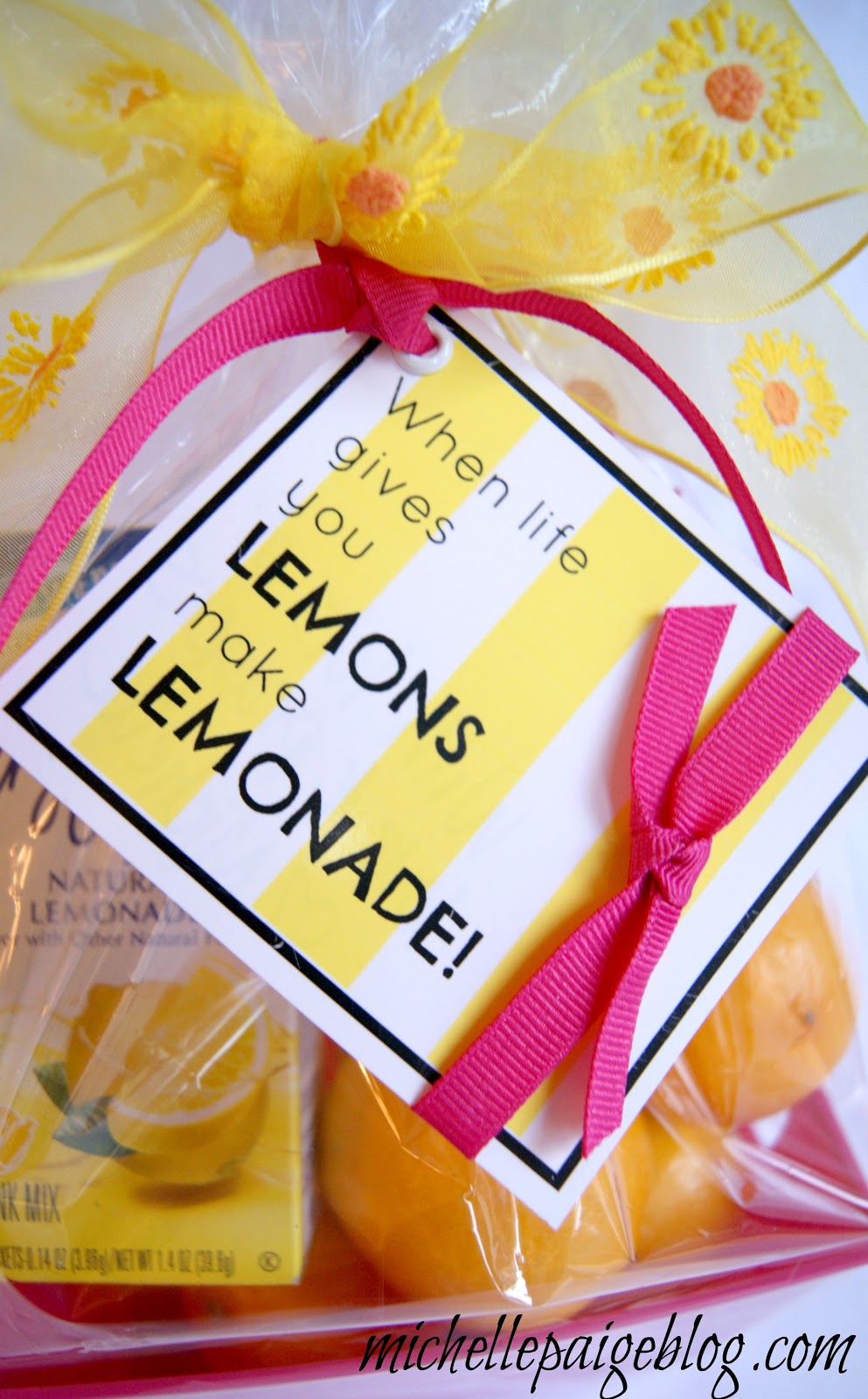 michelle paige blogs Cheer Up Gifts Lemons to Lemonade and Sunshine