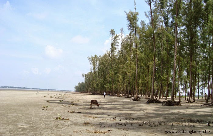 Parki sea beach, Bangladesh, tourist spots in Bangladesh,