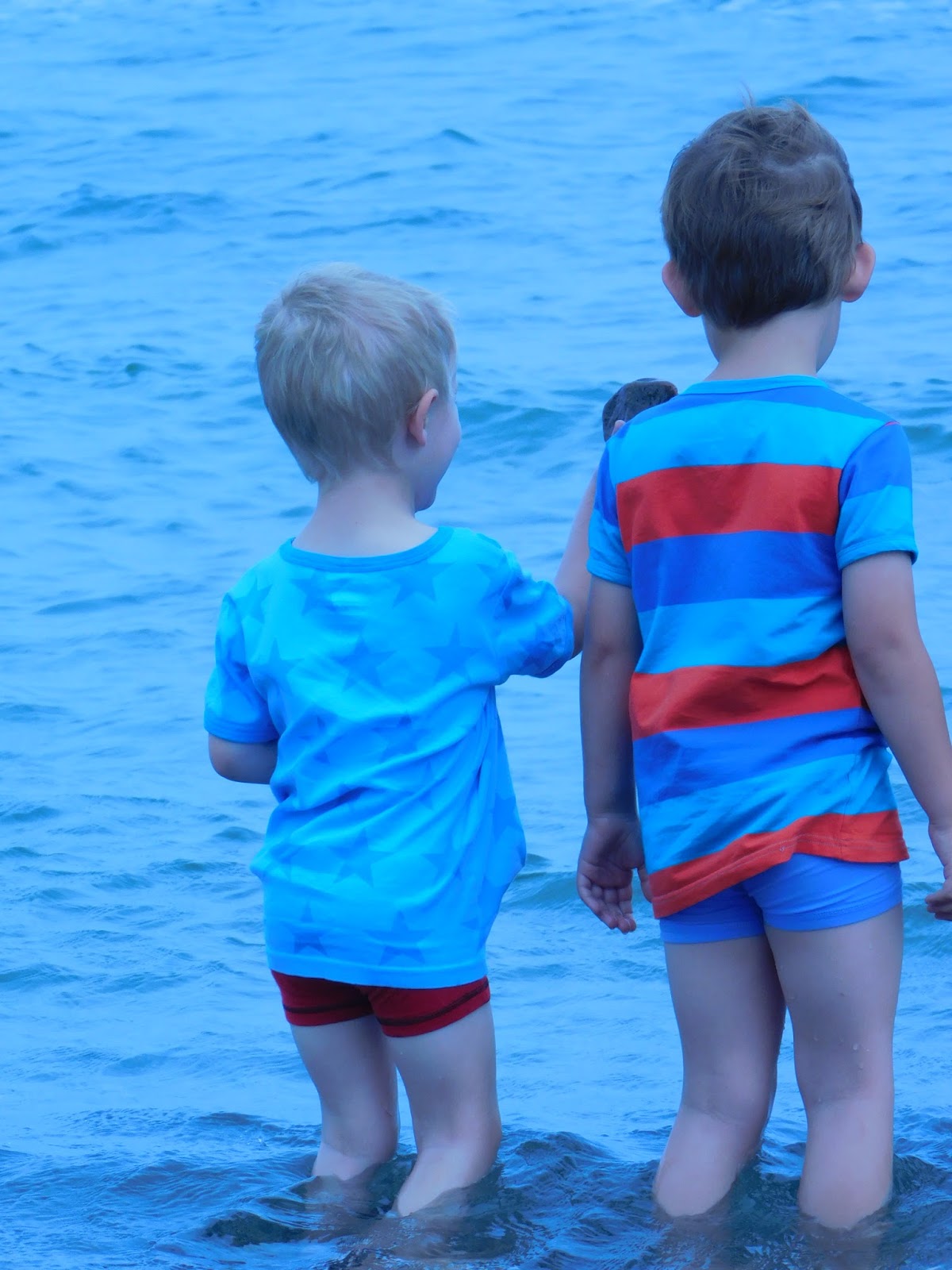 Cheeky Racoon Fur Meine Jungs Stoffquelle Com