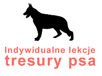 szkolenie psa legnica szkolenie psa legnica