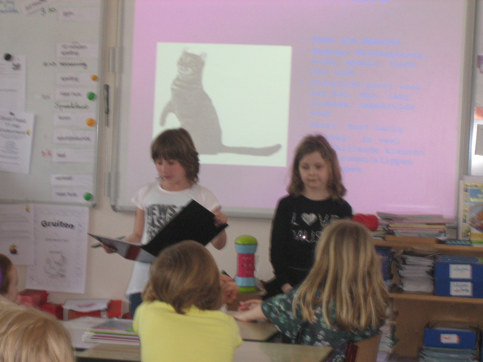 groep 7: spreekbeurt Caitlyn