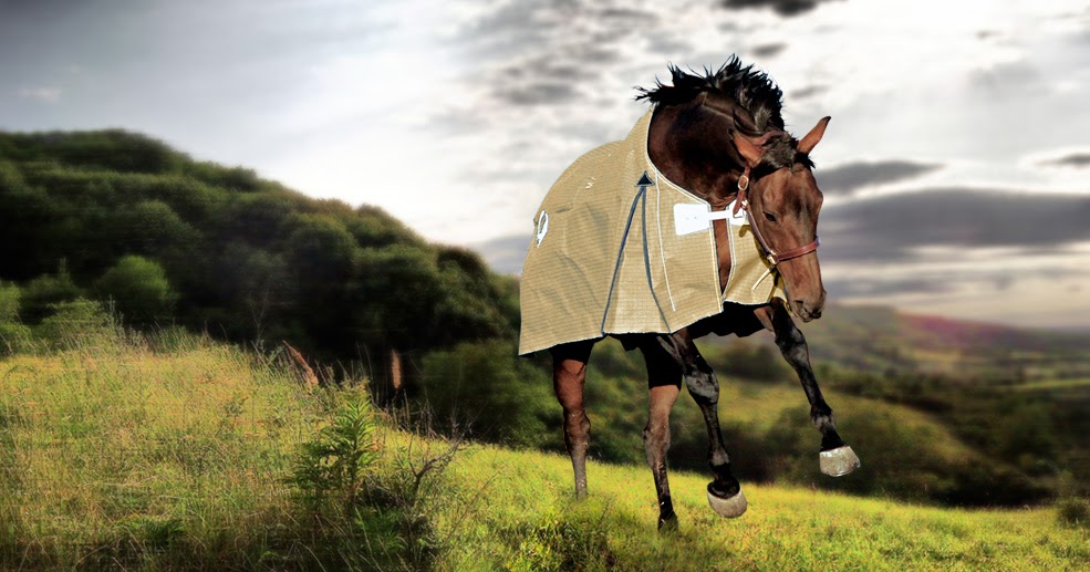 Australian Made Skye Park Rugs