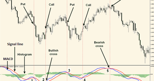 L binary options