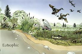 eutrophic oligotrophic monday lake