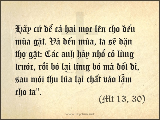 Hãy cứ để cả hai mọc lên cho đến mùa gặt