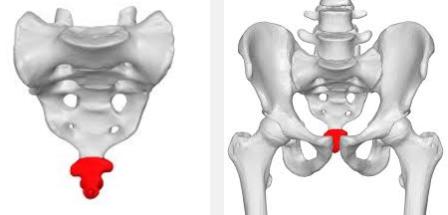 Ketika Kiamat Nanti, Tubuhmu Akan Hancur Lebur Kecuali Bagian Ini! Ternyata... Ketika Kiamat Nanti, Tubuhmu Akan Hancur Lebur Kecuali Bagian Ini! Ternyata...