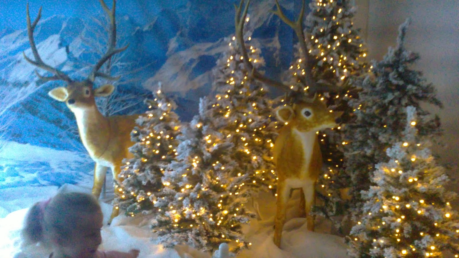 Pebbles and LBs Blog Father Christmas at Chessington Garden Centre