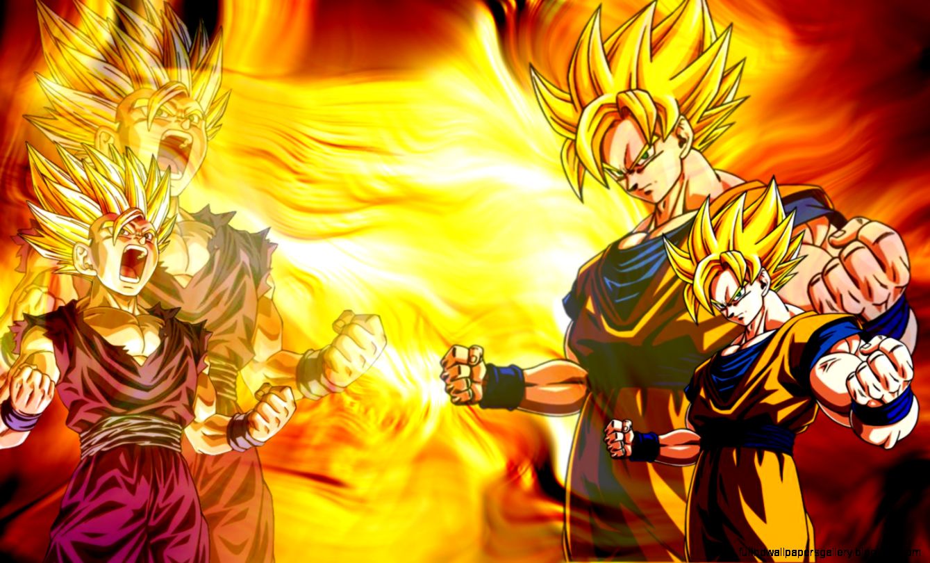 Dragon Ball Z Goku Gohan