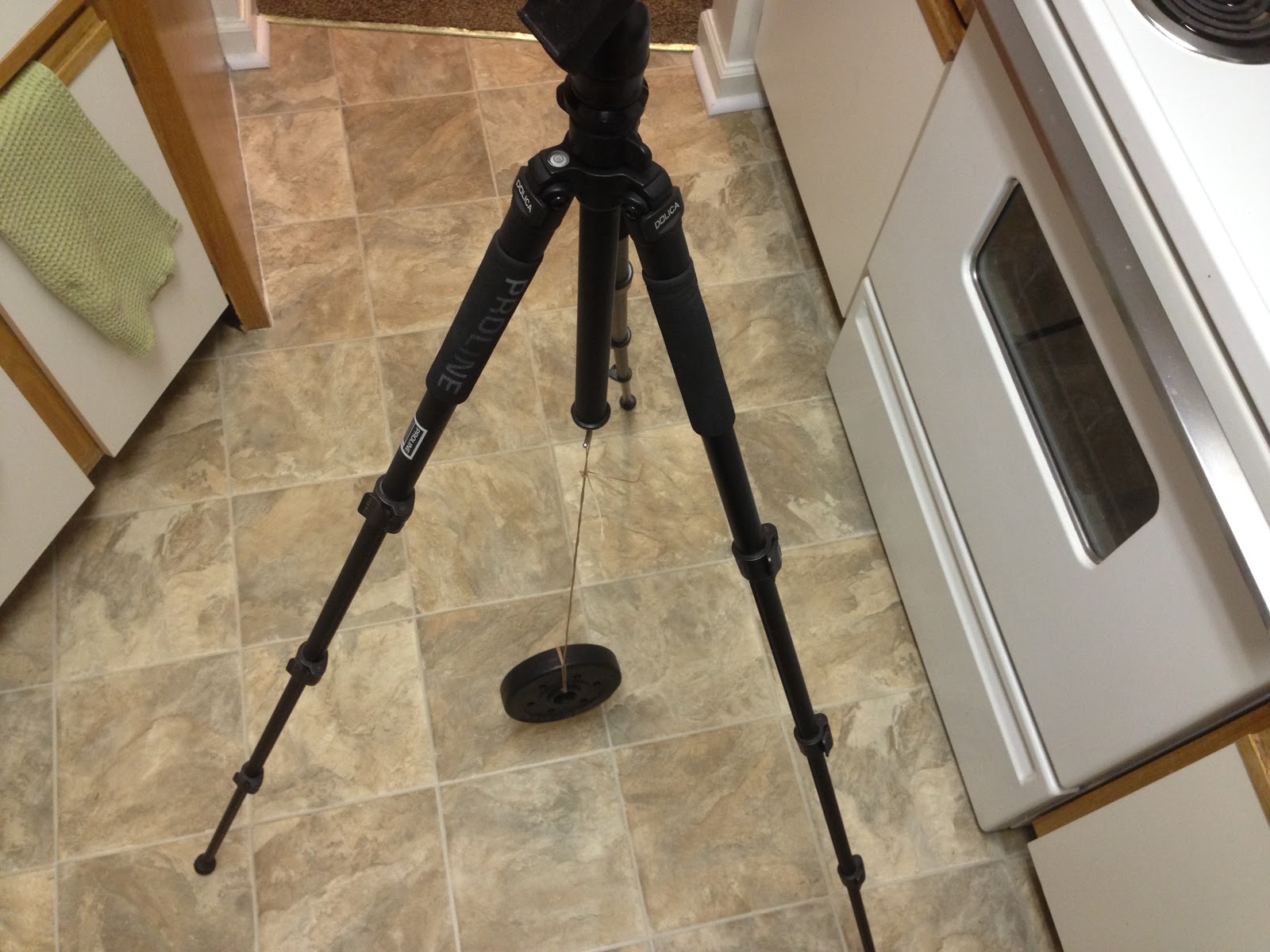 New Gear Tripod Weight and Green Laser Pointer [Stellar Neophyte