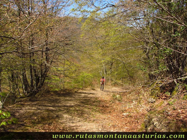 Pista hacia el Monte Saperu