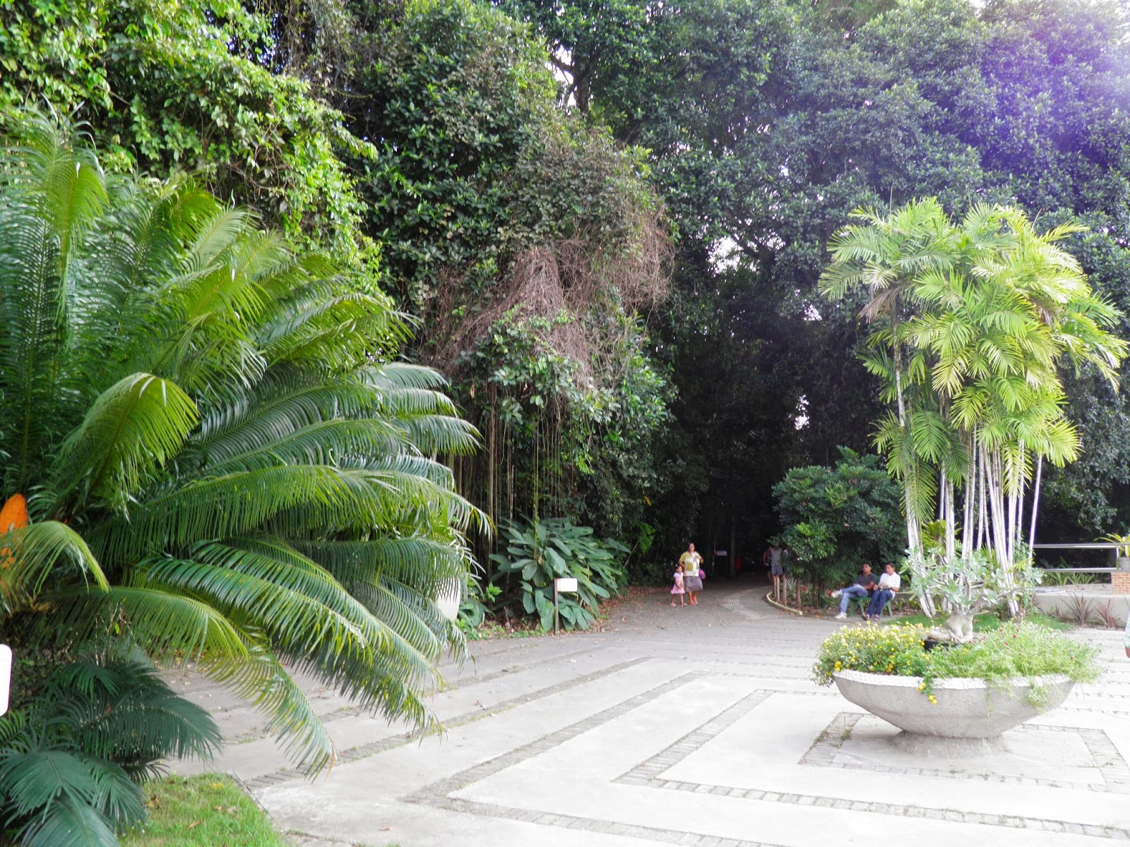 Recife; Jardim Botânico; 