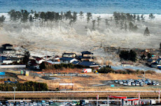 *** TSUNAMI DE JAPON GRABADO DESDE EL INTERIOR DE UN COCHE