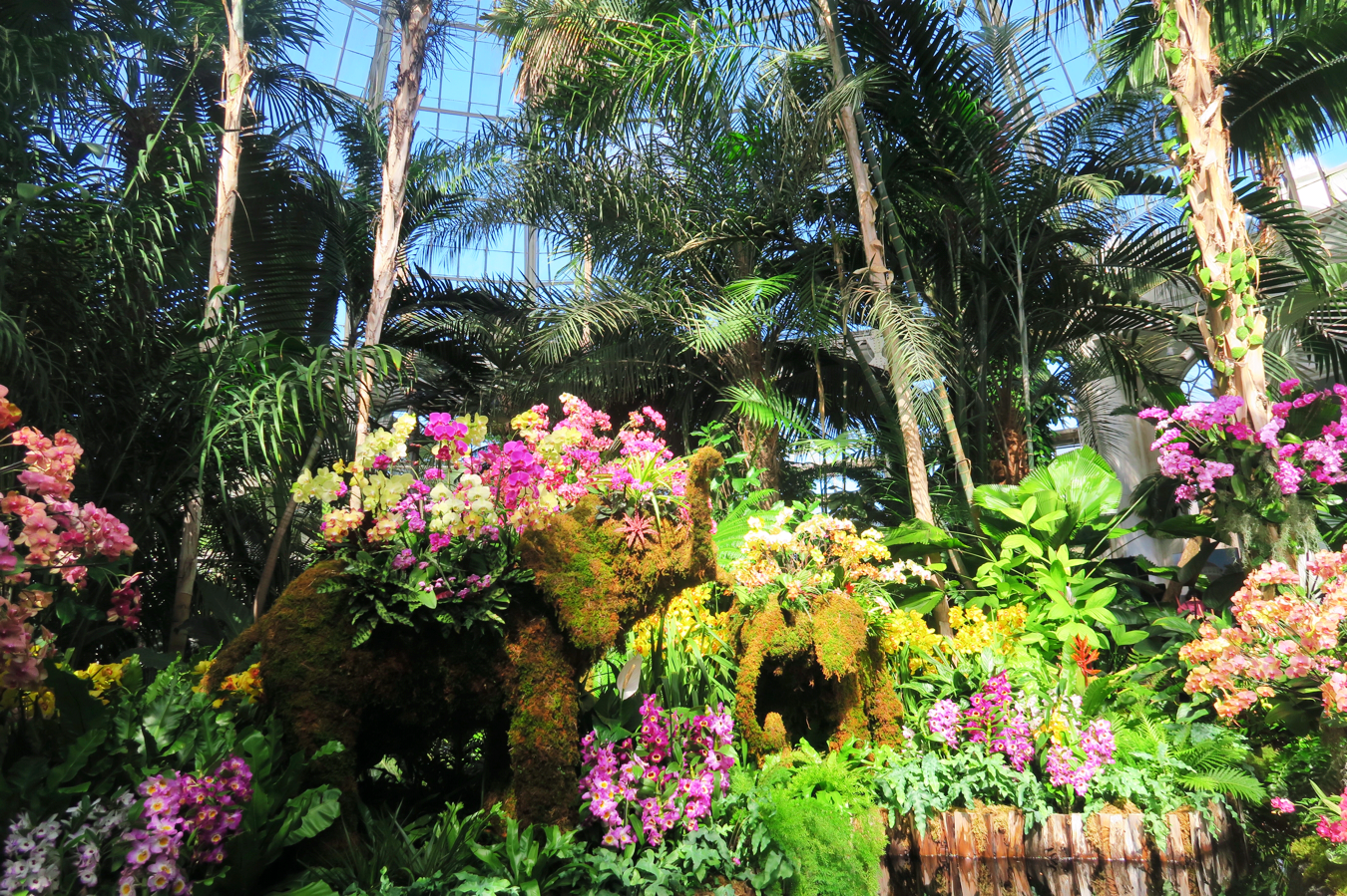 Orchid Show Thailand at the NYBG Wanderlust Beauty Dreams