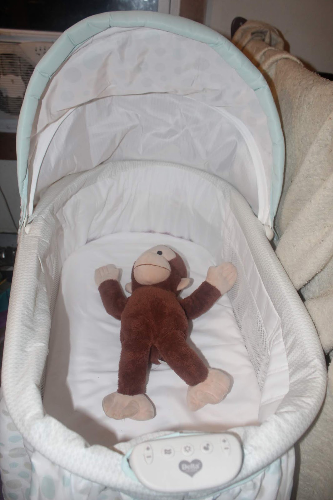 disney baby ultimate sweet beginnings bassinet