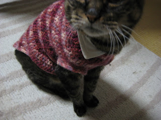 猫の服をつくろう