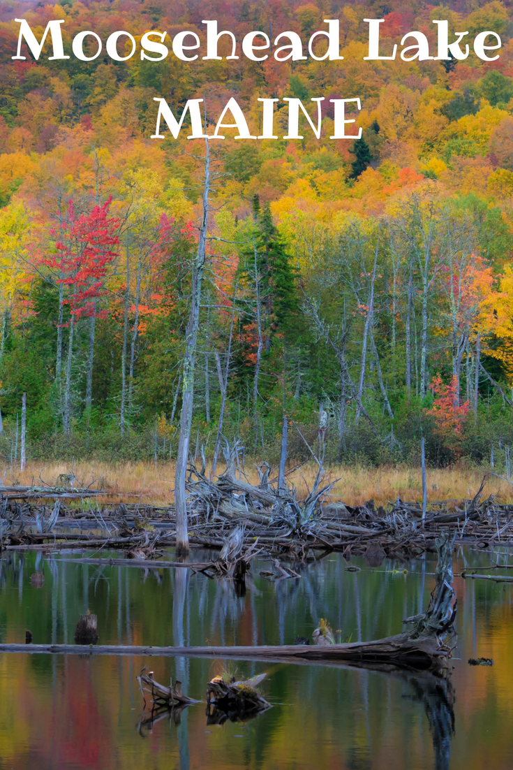The Best Things to Do in Moosehead Lake Maine Travel the World