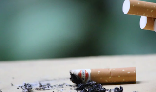 Cara Bersihkan Paru dari Racun Rokok Cara Bersihkan Paru dari Racun Rokok