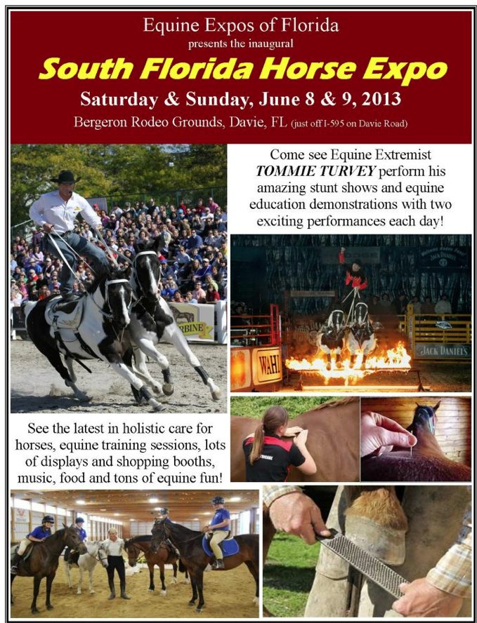 South Florida Horse Expo South Florida Horse
