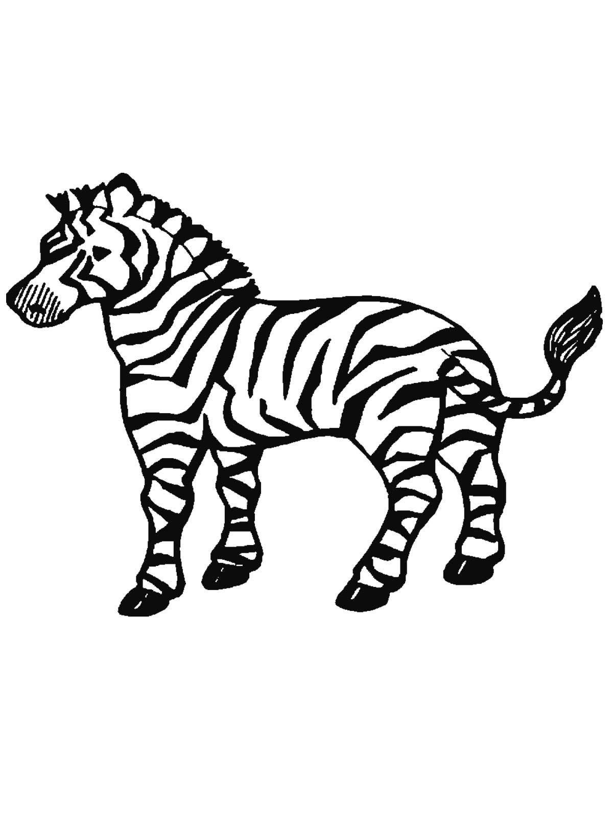 zebra template coloring pages - photo #37