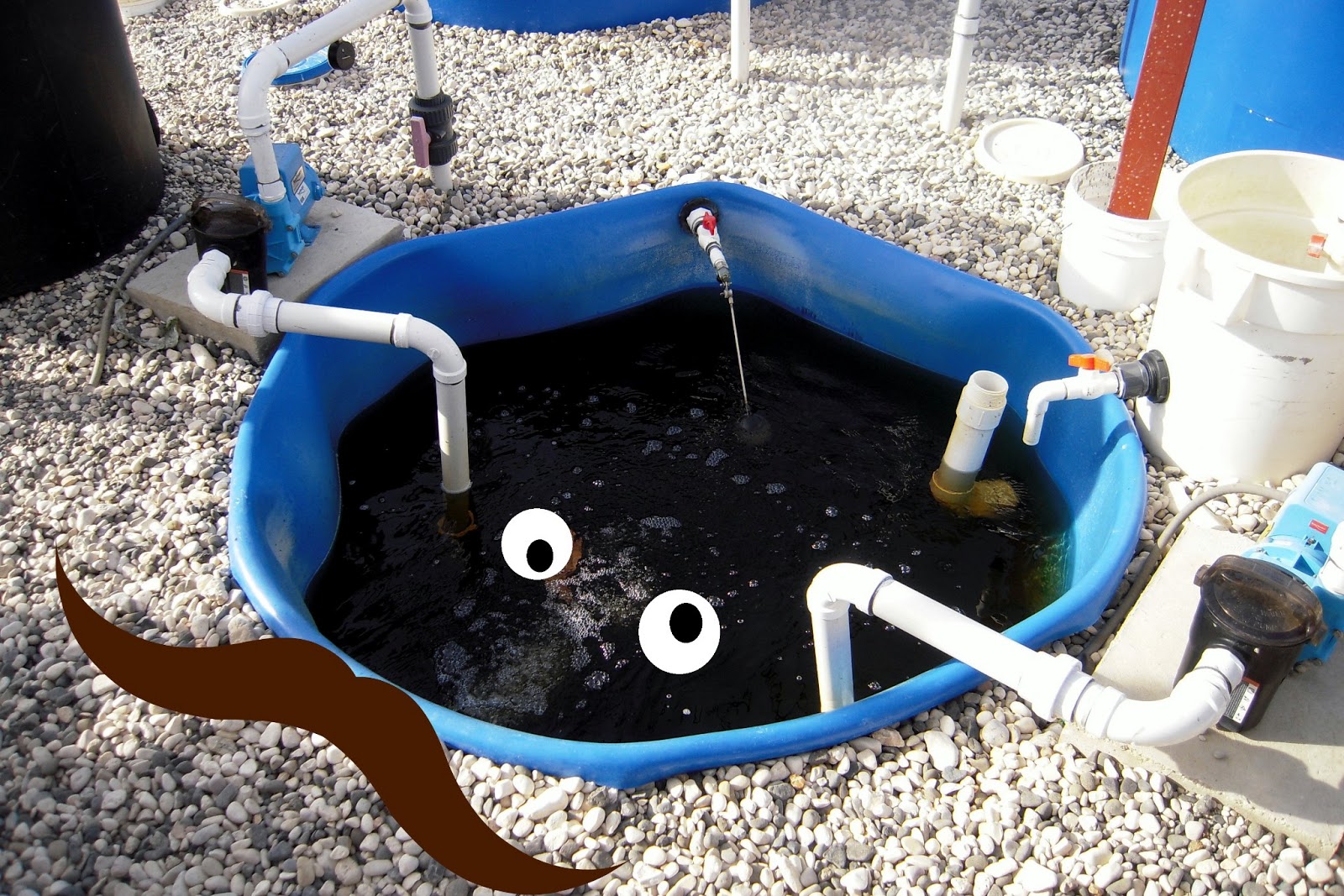 Do you need a sump tank for aquaponics