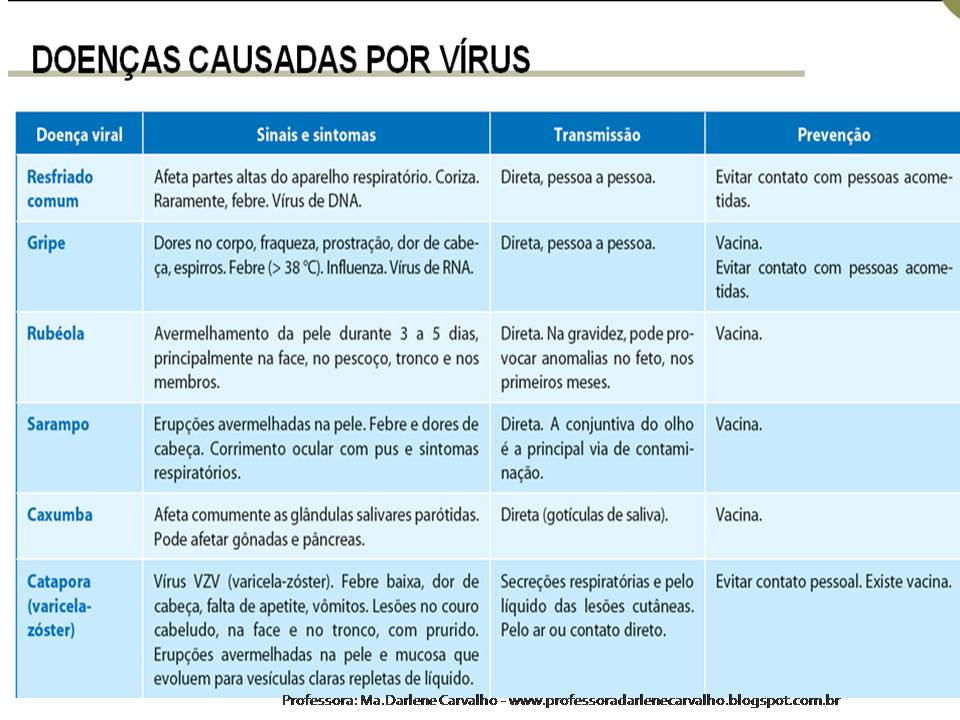 BIOLOGANDO : Doenças virais: raiva