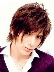 Internex Posed Men S Medium Layered Hairstyles