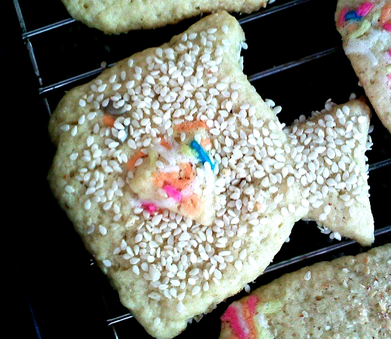 Abby's Aquarium Adventures Sea Biscuit