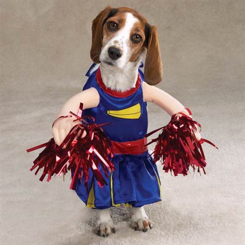 Unique Halloween Costumes For Dogs