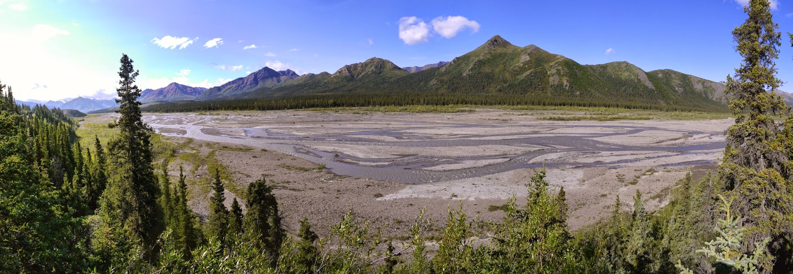 Braided channels of the Teklanika River in Denali National Park.