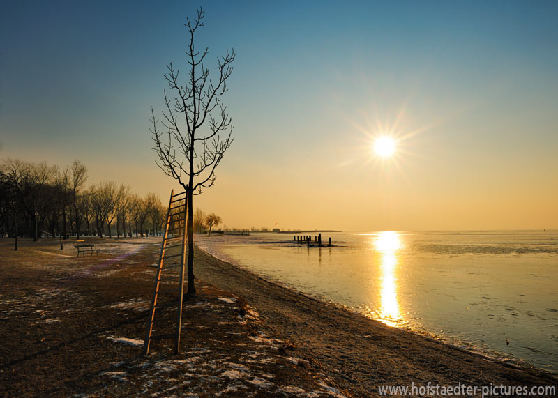 Wintersonne Wintersonne