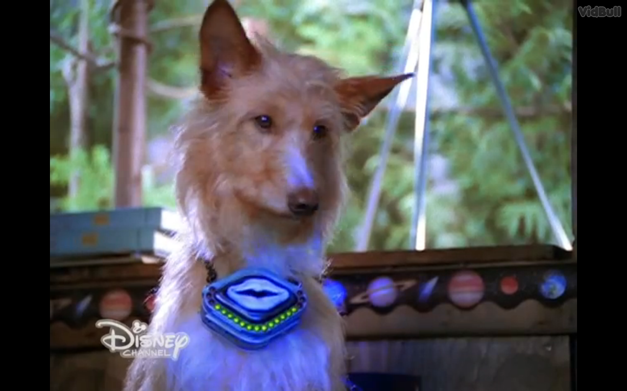 can of worms movie dog Missy Shelby