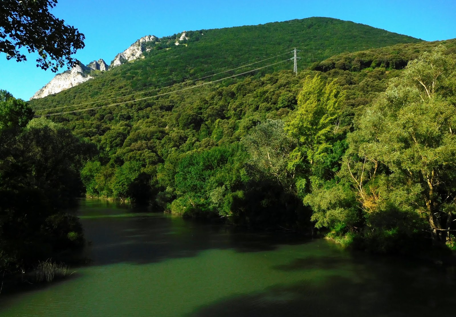 TXURREGI desde ERROTZ 4