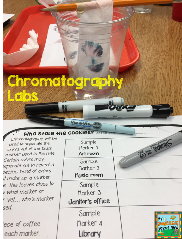 Who Stole the Cookies Chromatography Lab The Science School Yard