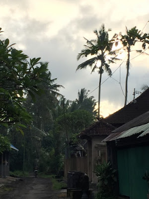 椰子の木のある村の風景