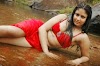 Tamil Actress Amrutha Valli Hot Photos