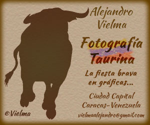 Logotipo Alejandro Vielma D. Fotógrafo taurino, Distrito Capital, Caracas-Venezuela.