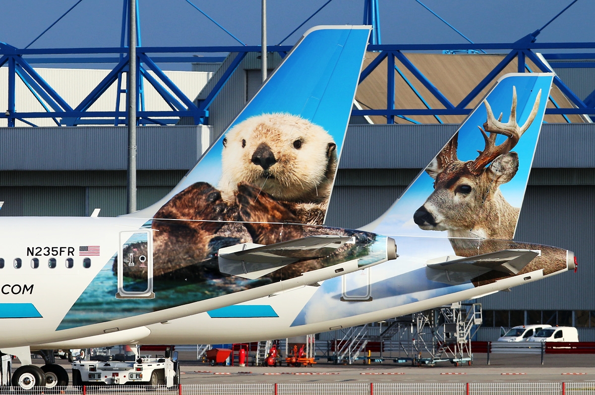Livery of the week Frontier Airlines