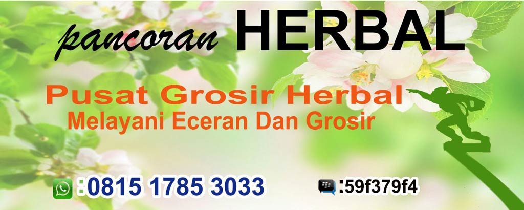 Pancoran Herbal  -  Grosir Herbal Murah Jakarta -  Distributor Obat Herbal Murah