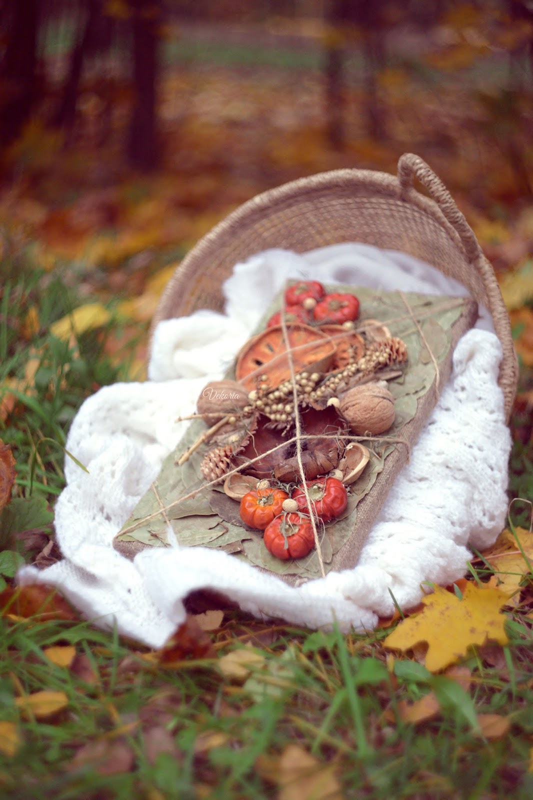 autumn natural wall decor / осення декорция на стену / осенее натуральное панно
