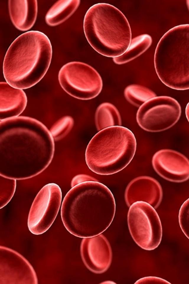Red Blood Cells  Galaxy Note HD Wallpaper