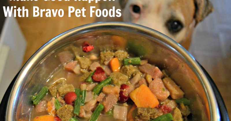bravo dehydrated dog food